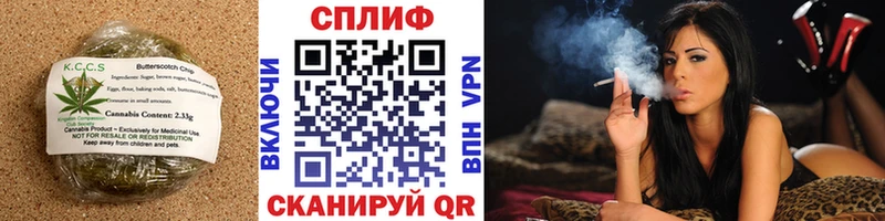 Купить закладки  Сосновый Бор  Печенье с ТГК конопля 
