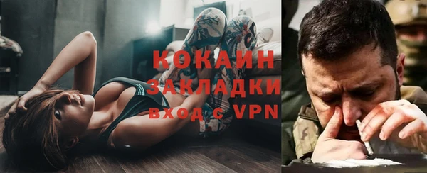 PSILOCYBIN Белокуриха