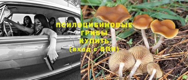альфа пвп Беломорск