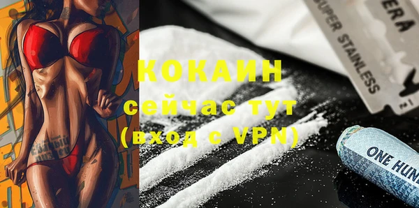 PSILOCYBIN Белокуриха