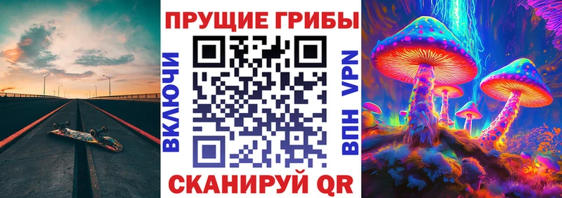 Галлюциногенные грибы Magic Shrooms  Купить  Сосновый Бор 